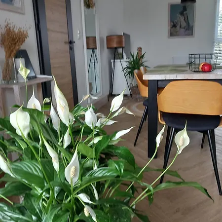 Apartament W Centrum Z Panorama Miasta Bielsko-Biala Exterior foto