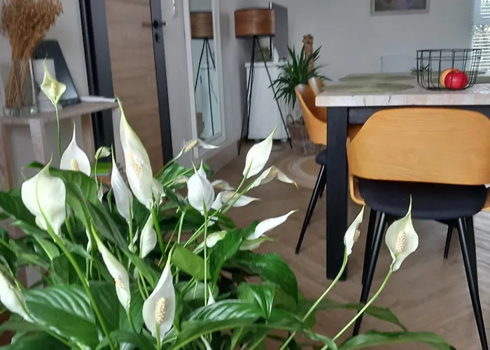 Apartament W Centrum Z Panorama Miasta